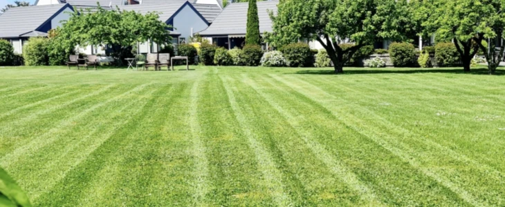 archer-maryville-courts-village-4894